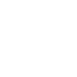 The Tax Shop